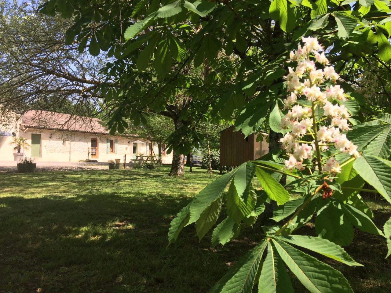 מלון Saint-Estèphe Chateau Haut Baron מראה חיצוני תמונה